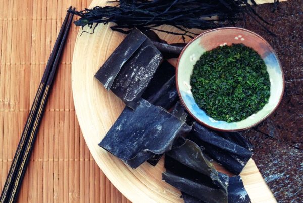 kombu-nori-wakame-aonori-seaweed