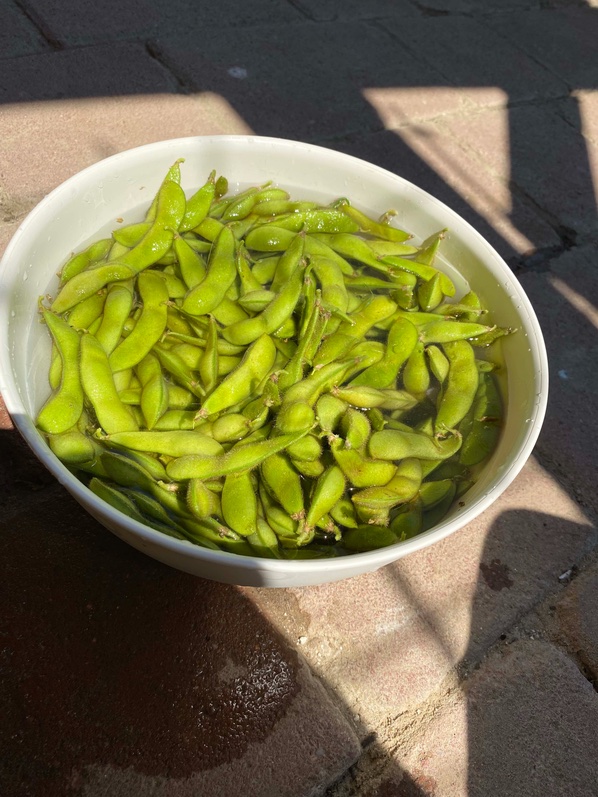 soy-beans