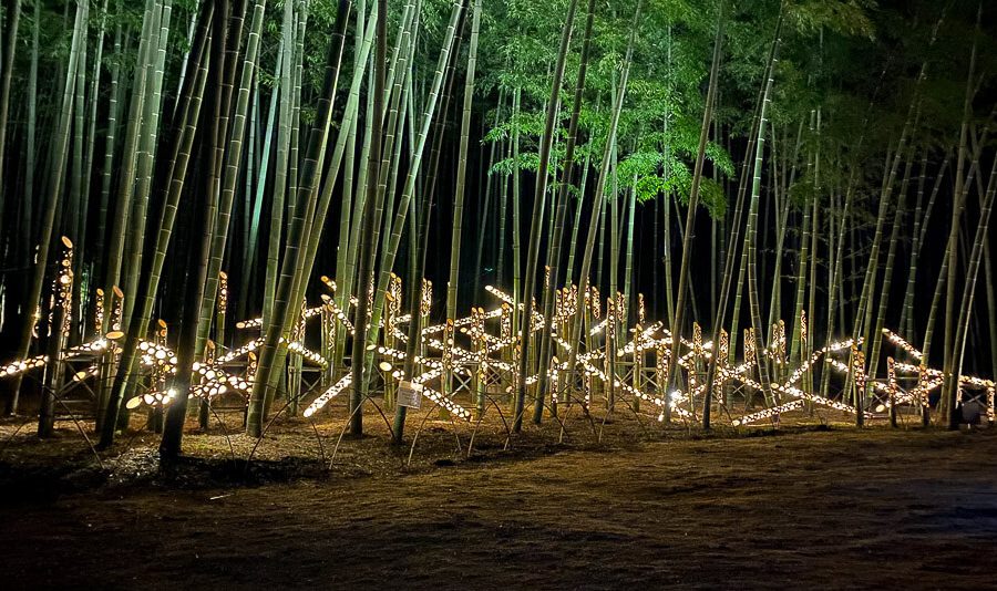 bamboo-forest-japan