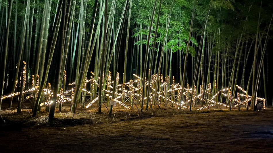 bamboo-forest-japan