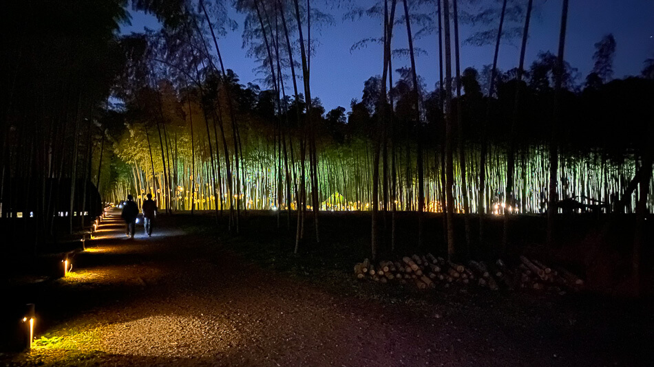 bamboo-grove-japan